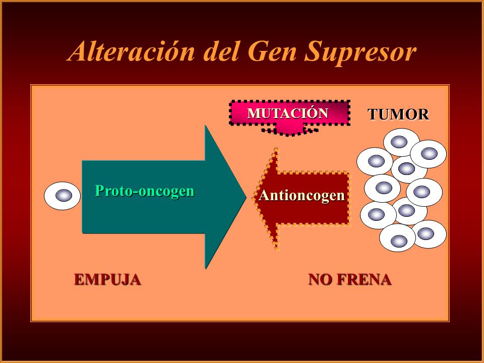 oncogenes y genes supresores de tumores